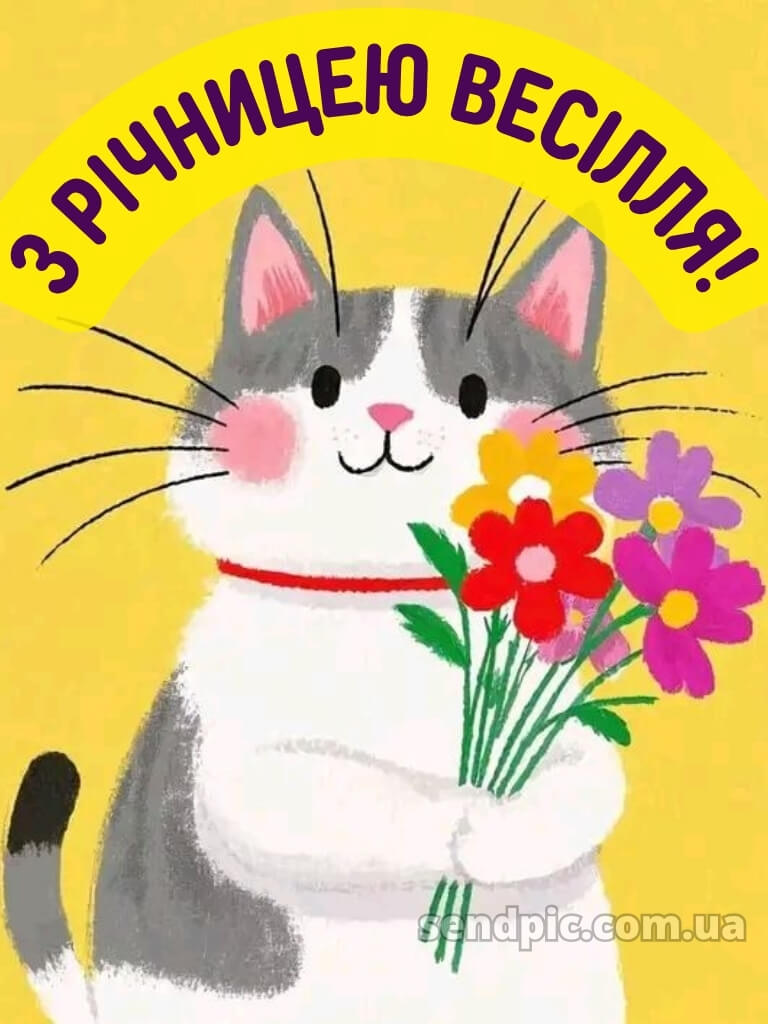 З річницею весілля: картинки прикольні 19