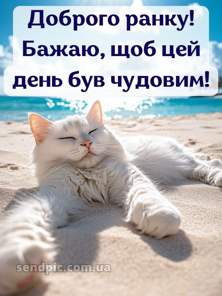 Доброго ранку гарного настрою на весь день 21