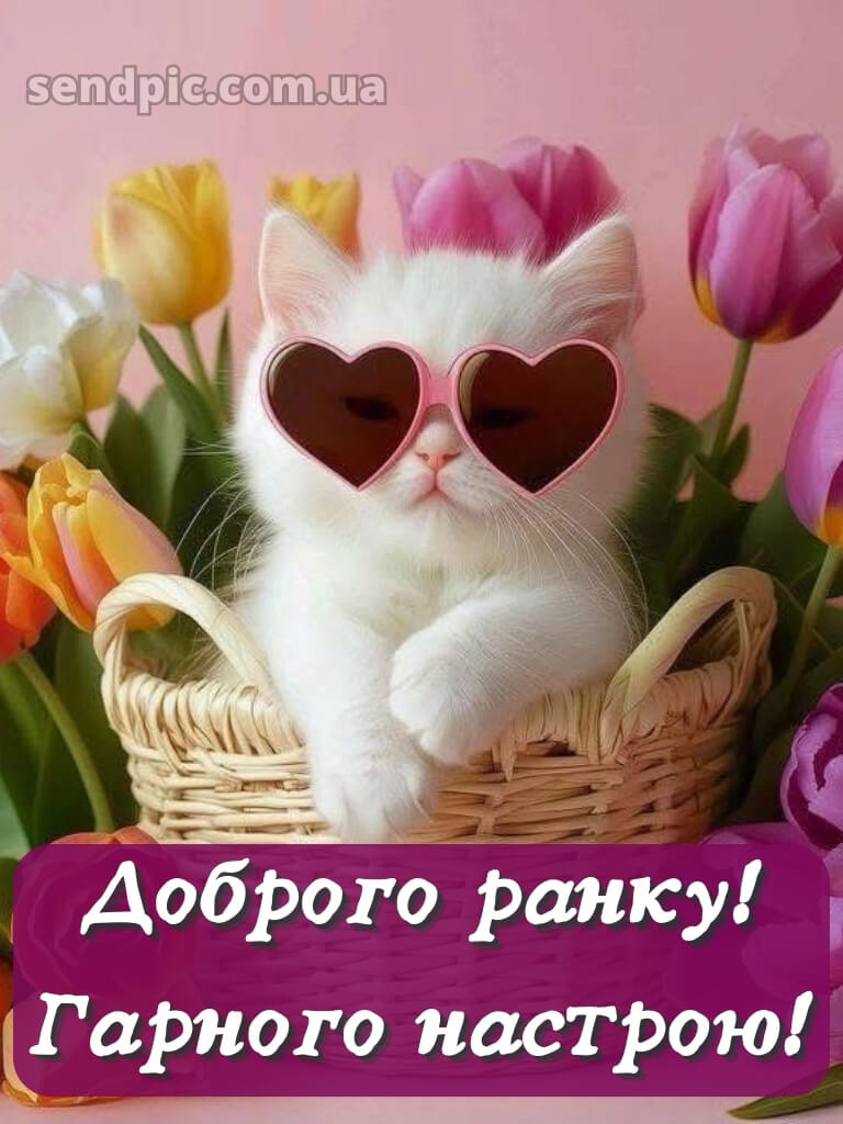Доброго ранку гарного настрою на весь день 23