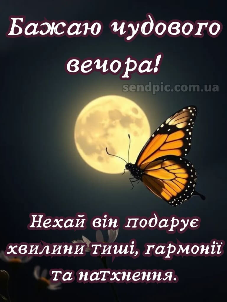 Доброго вечора, гарного настрою 25