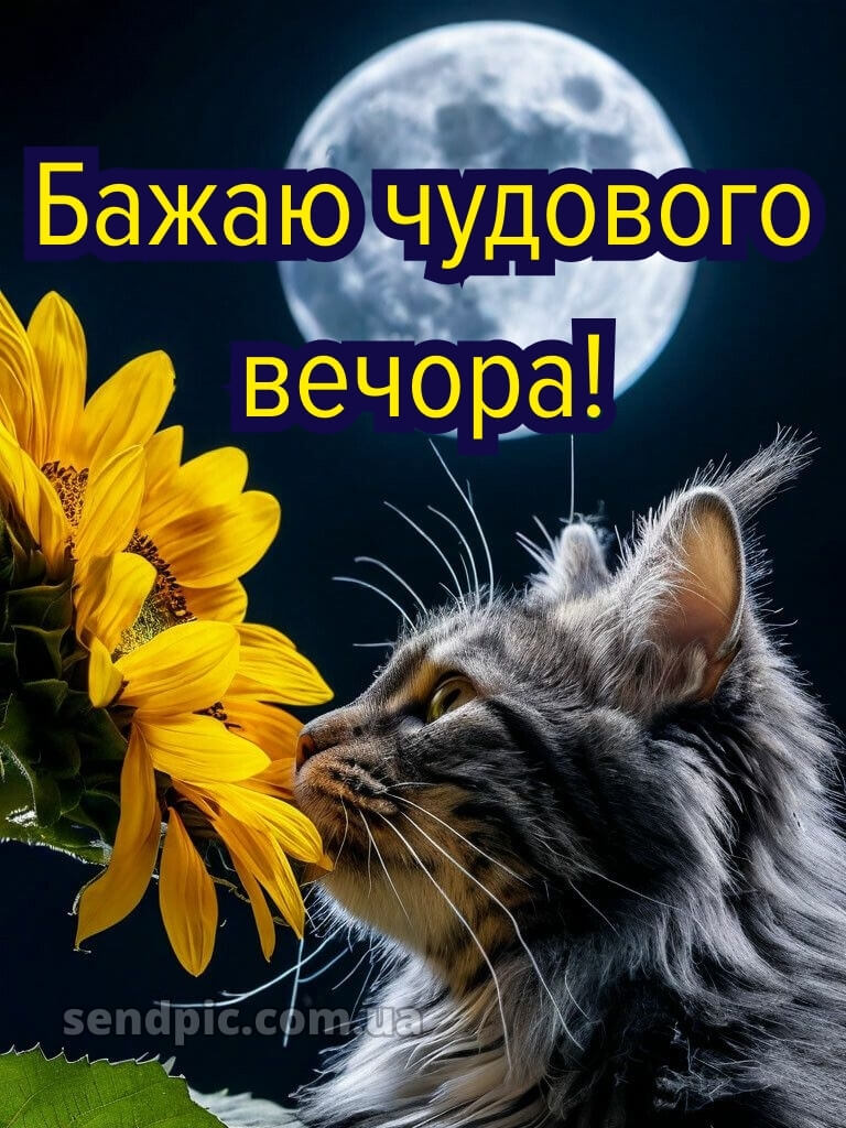 Доброго вечора, гарного настрою 19