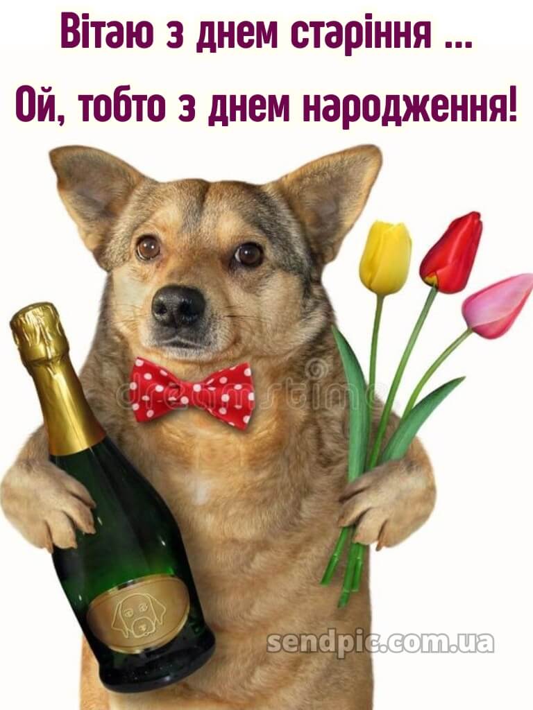 Прикольні привітання жінці вишукані листівки з днем народження 27