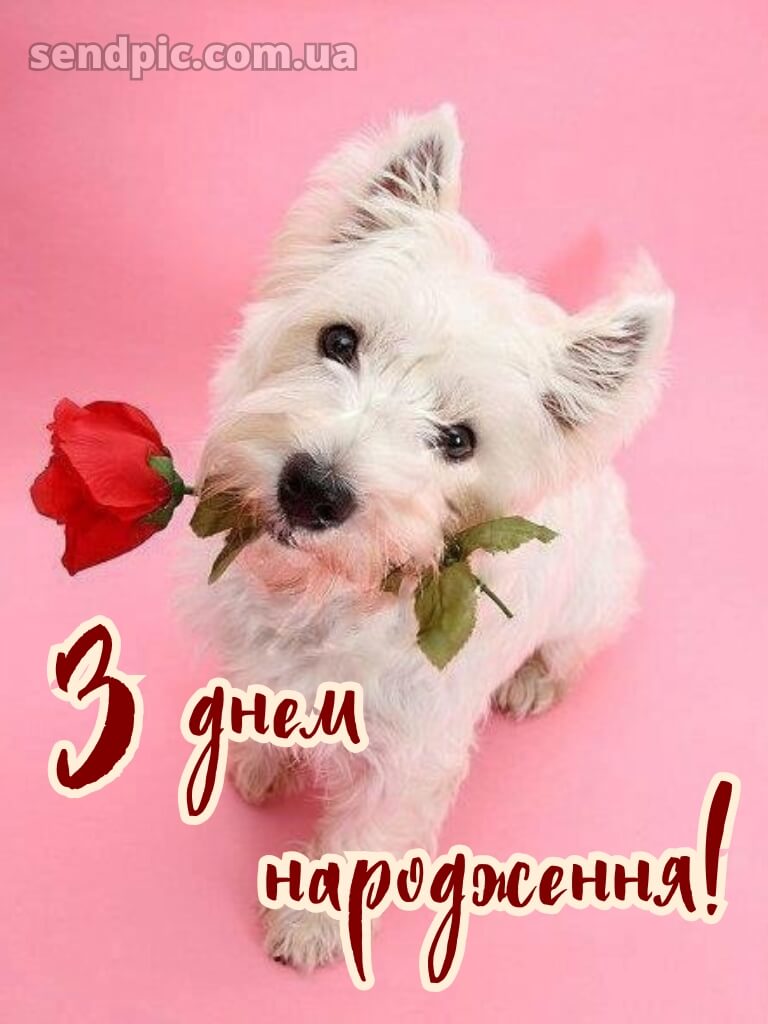 Прикольні привітання жінці вишукані листівки з днем народження 29