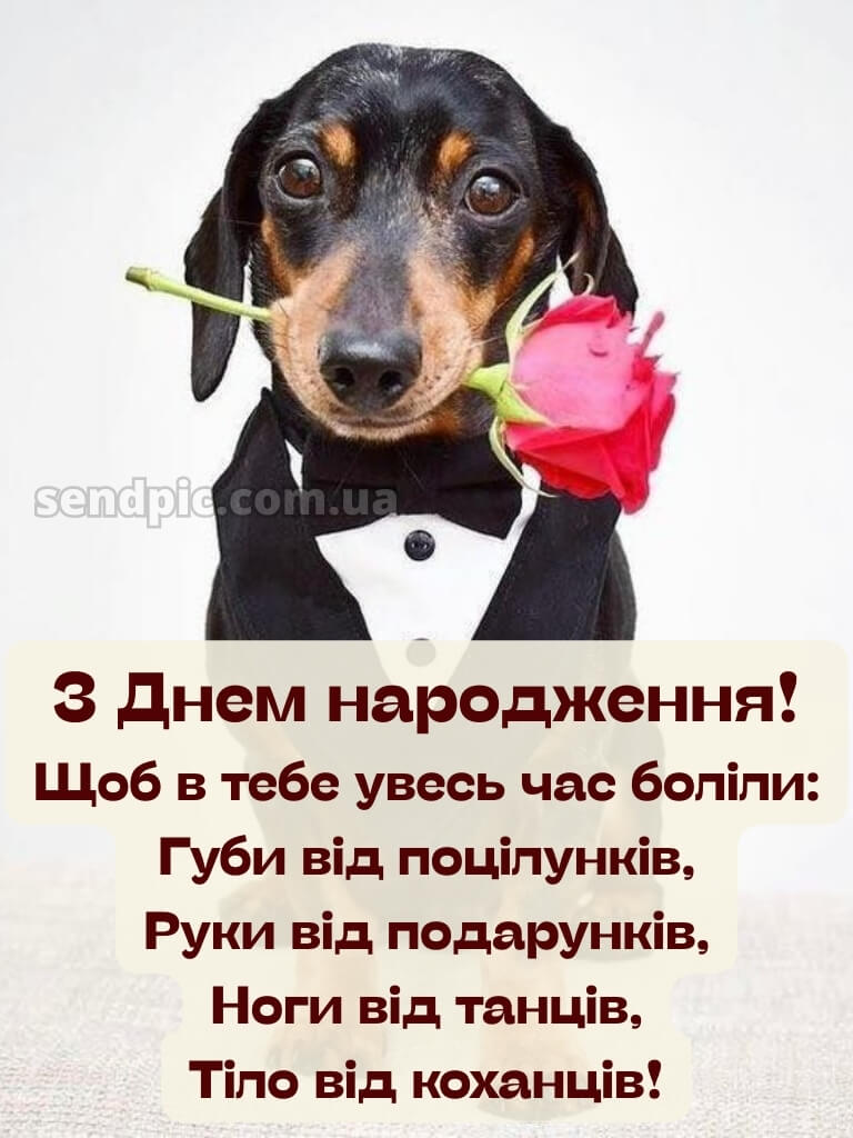 Прикольні привітання жінці вишукані листівки з днем народження 19