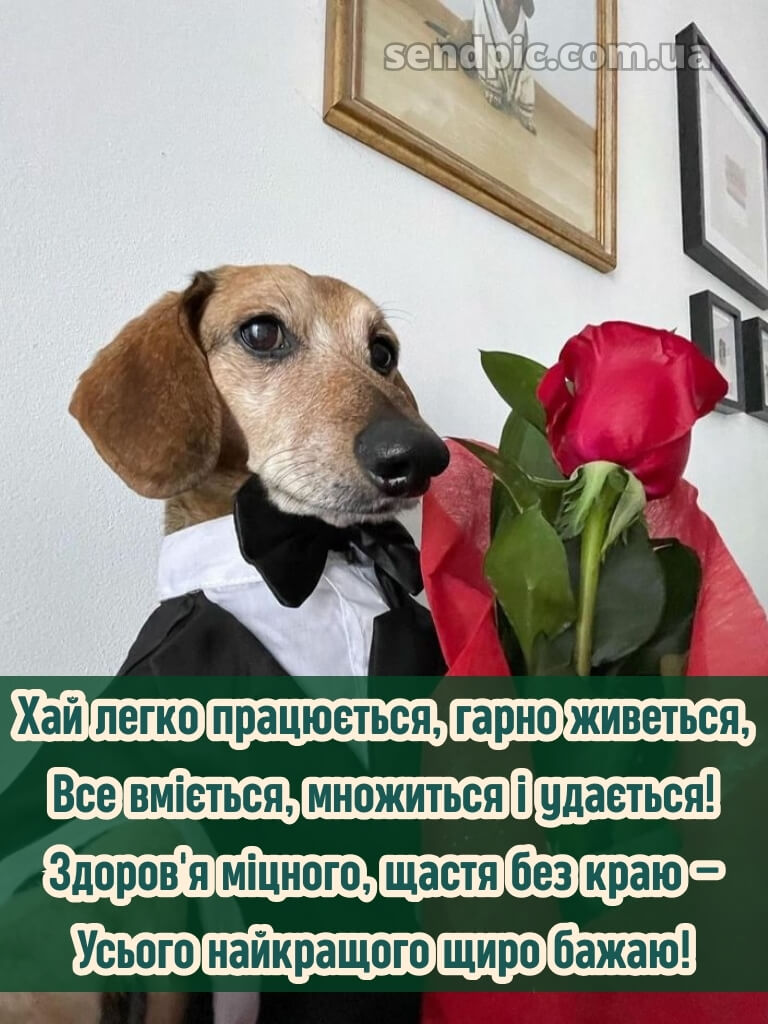 Прикольні привітання жінці вишукані листівки з днем народження 21