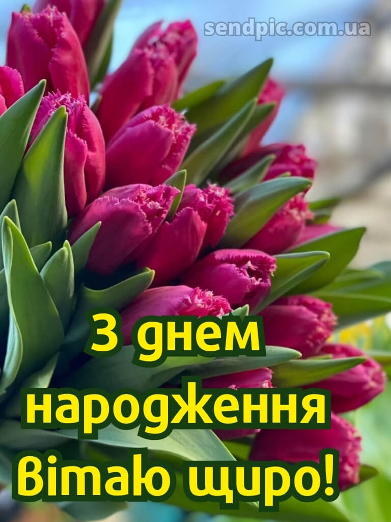 Картинки з днем народження дівчині 23