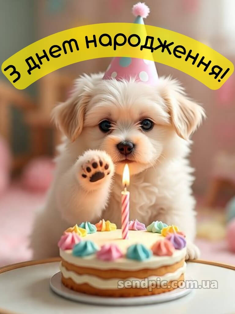 З днем народження дівчині картинки 18