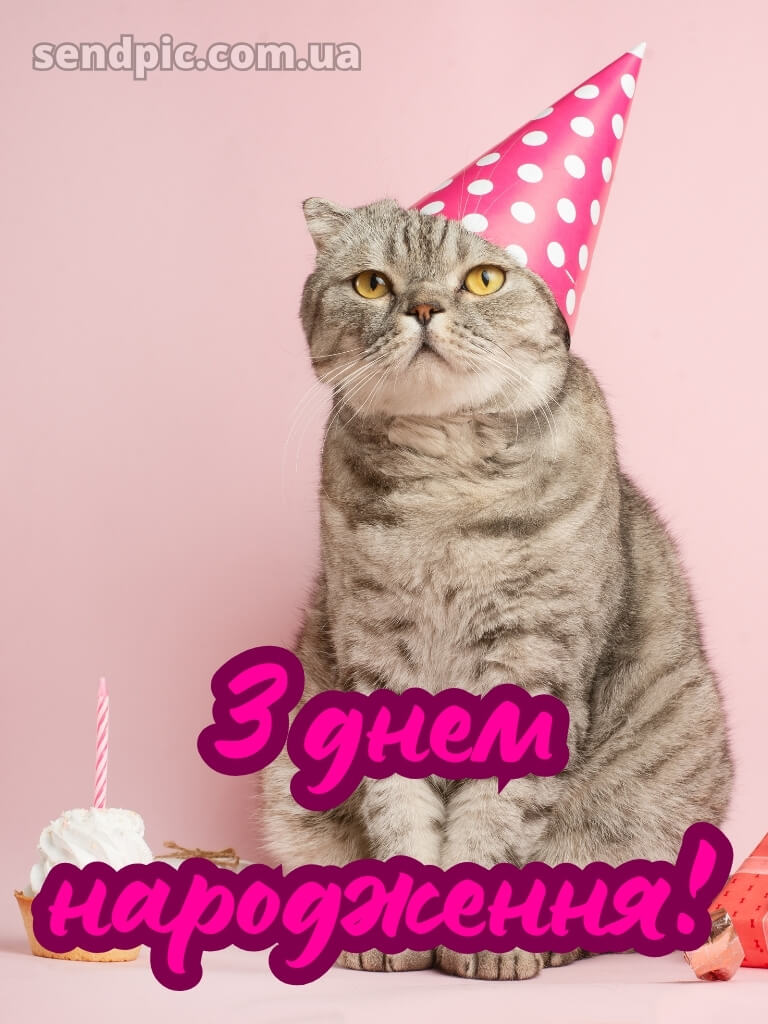 З днем народження картинка 21
