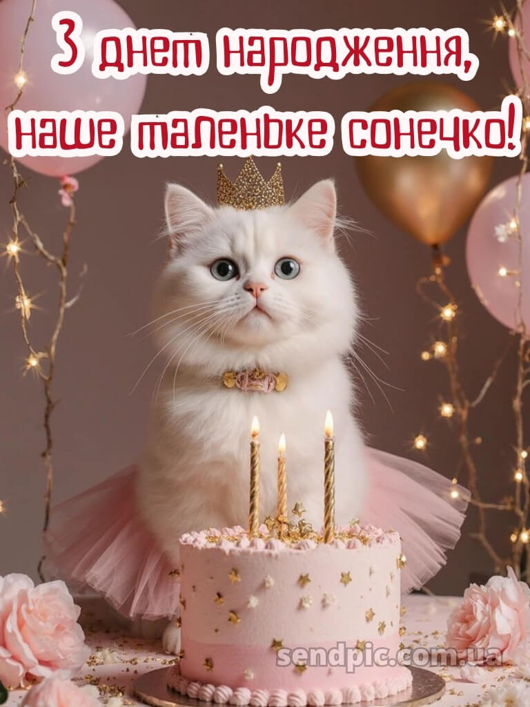 З днем народження картинки дівчинці 30