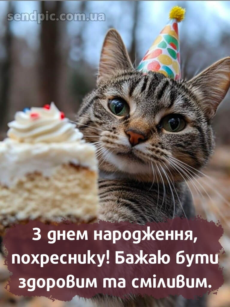 Картинка похреснику з днем народження 29