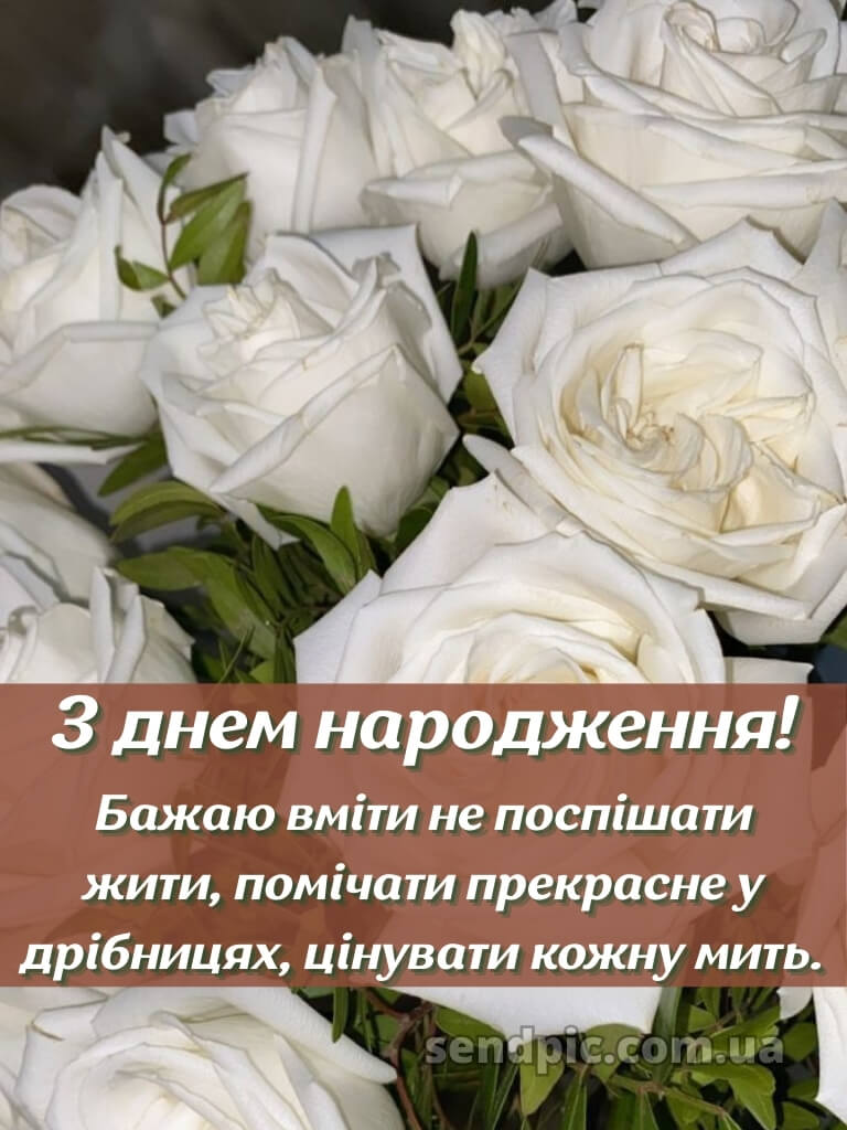 Картинка привітання з днем народження 29