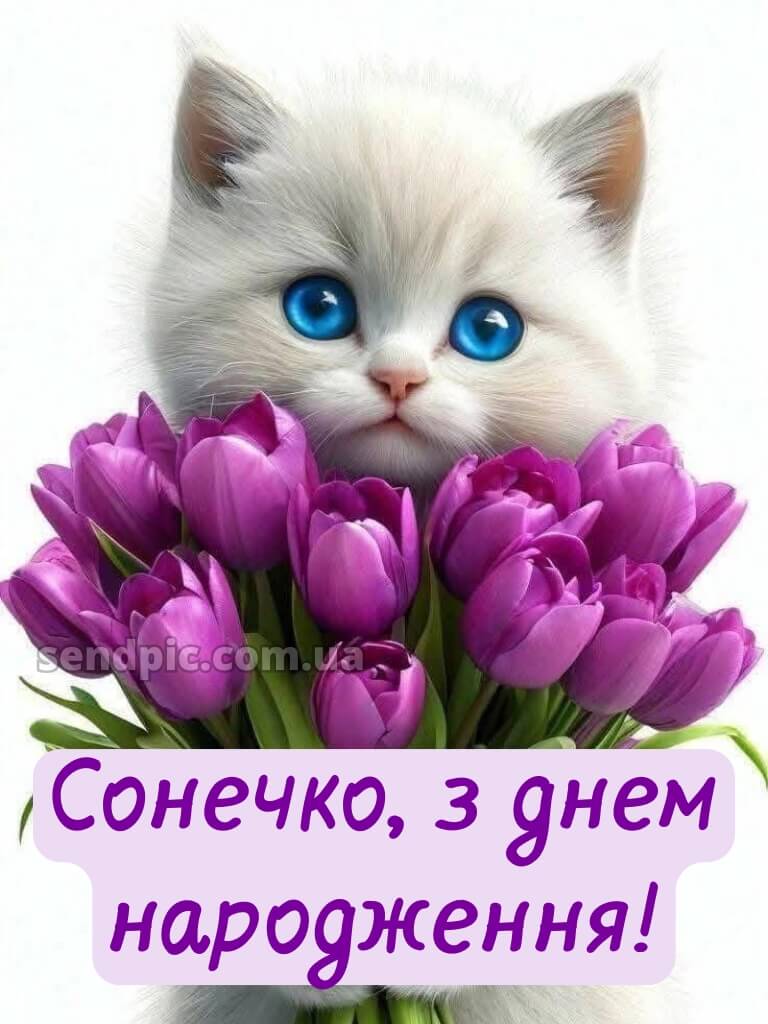 Картинка з днем народження дівчинці 22